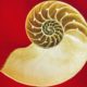 AiBI—Video: Stimulate Your Brain – An Introduction to Sensory Learning?