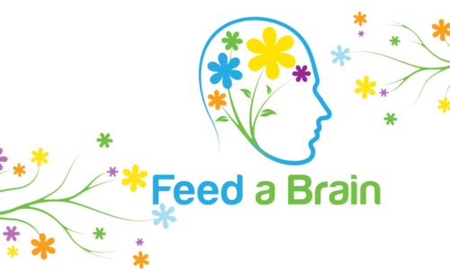How to Feed a Brain Mini-Course
